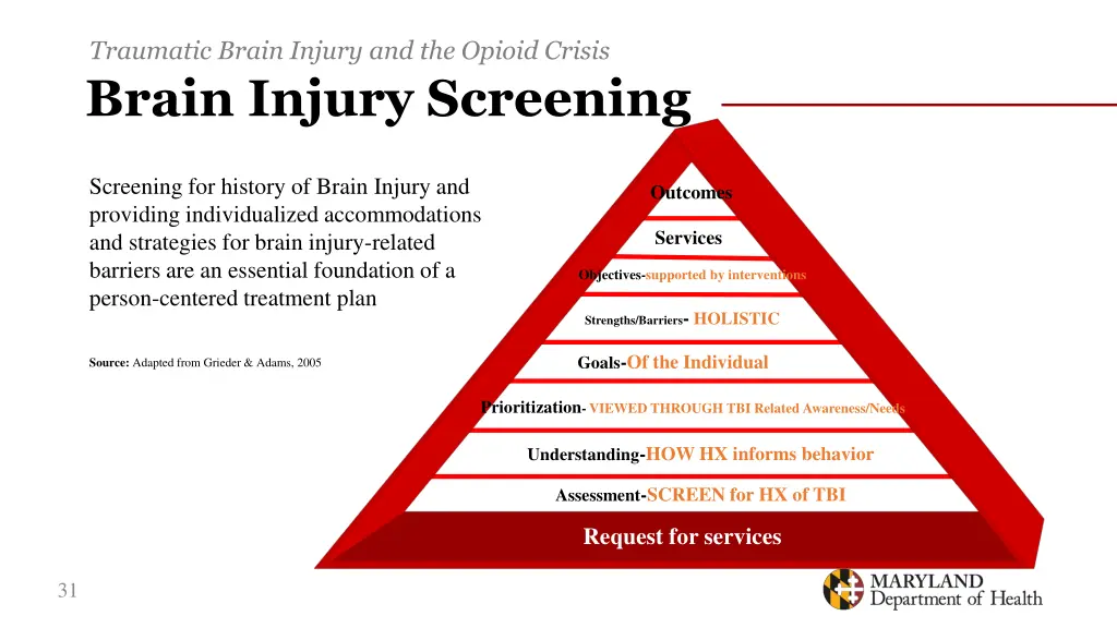 traumatic brain injury and the opioid crisis 27