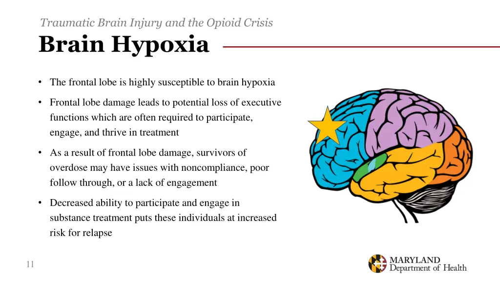 traumatic brain injury and the opioid crisis 7