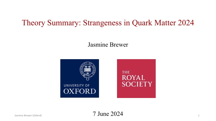 theory summary strangeness in quark matter 2024