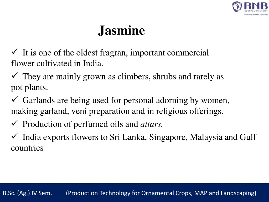 jasmine