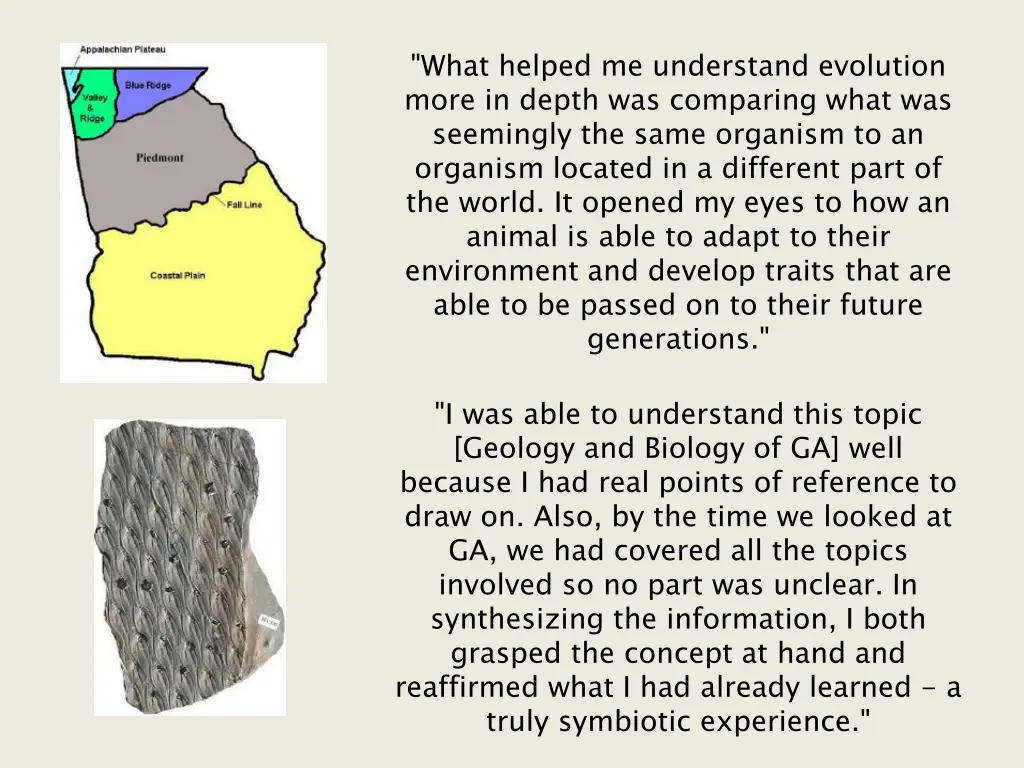 what helped me understand evolution more in depth