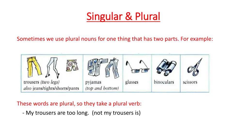 singular plural singular plural