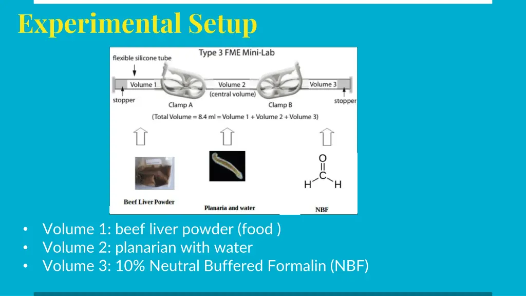 experimental setup