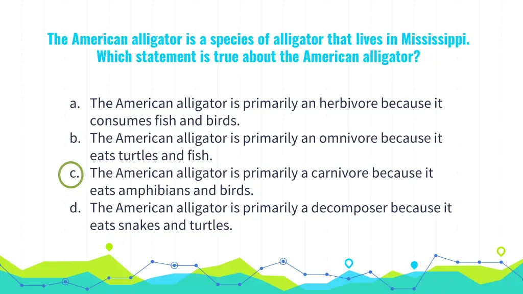 the american alligator is a species of alligator