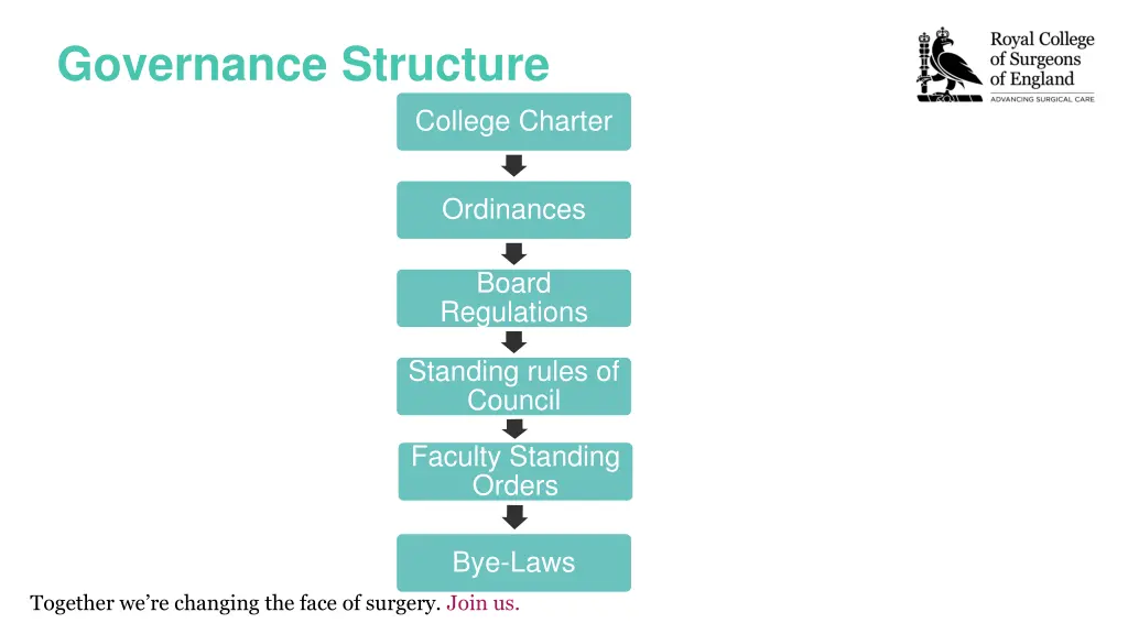 governance structure 1