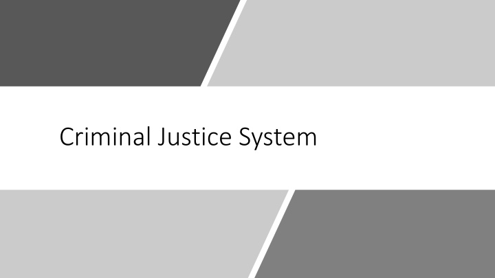 criminal justice system