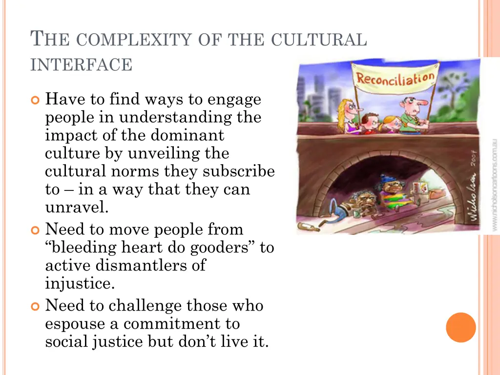 t he complexity of the cultural interface