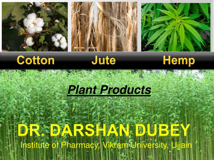 plant products