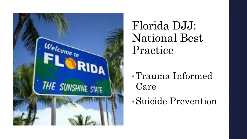 florida djj national best practice