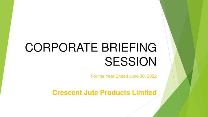 corporate briefing