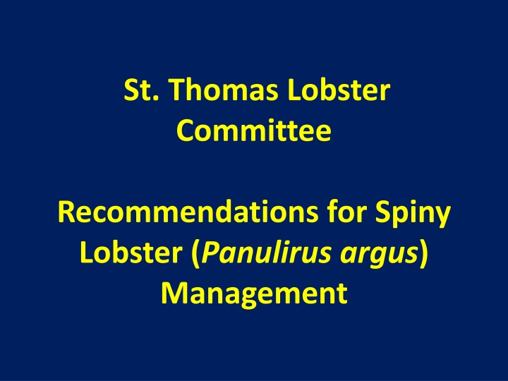 st thomas lobster committee