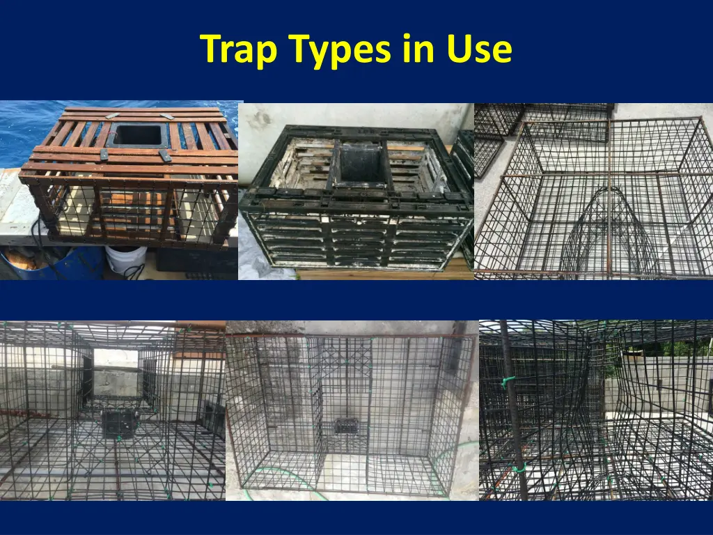 trap types in use