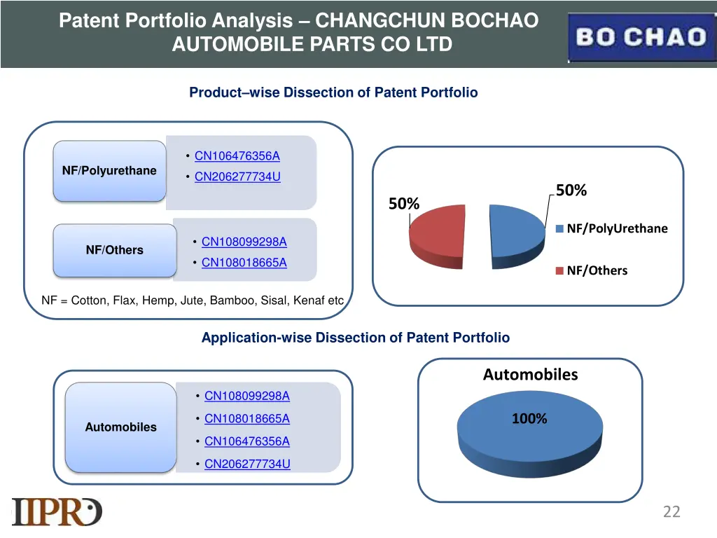 patent portfolio analysis changchun bochao 1