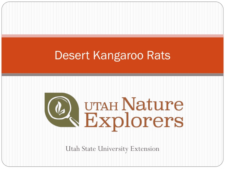 desert kangaroo rats