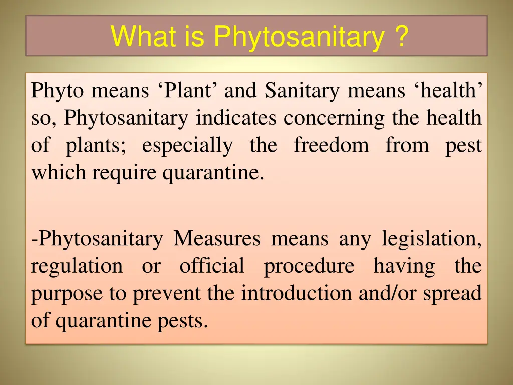 what is phytosanitary