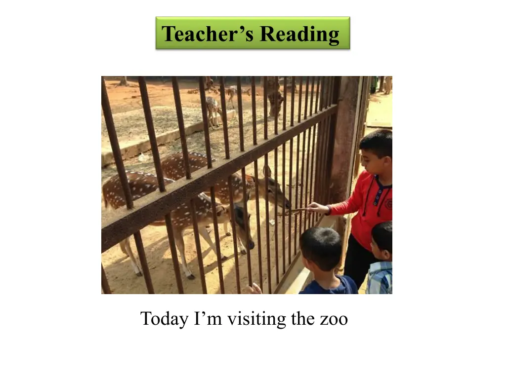 teacher s reading