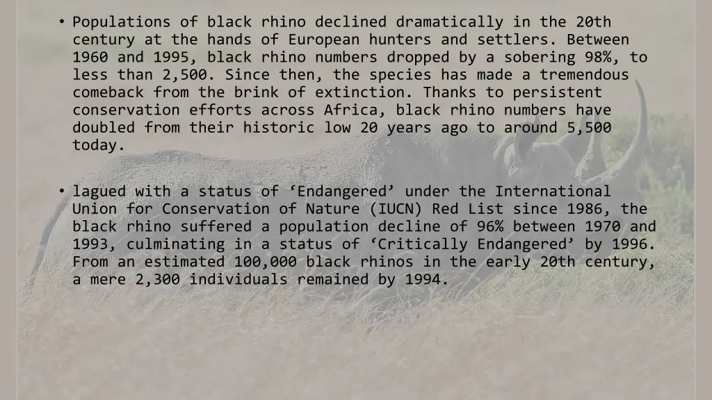 populations of black rhino declined dramatically