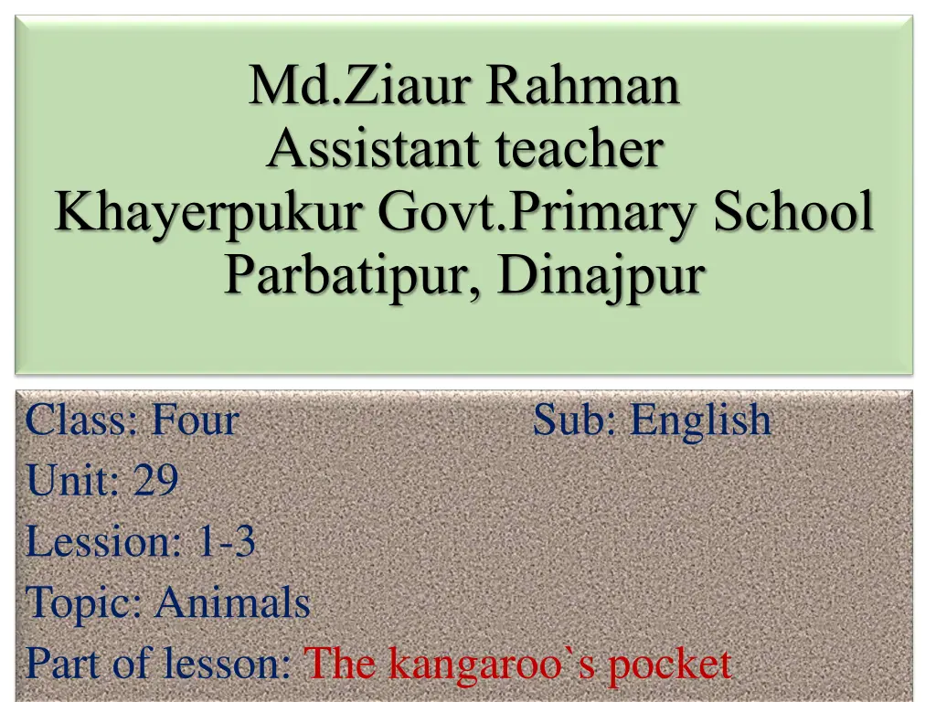 md ziaur rahman assistant teacher khayerpukur