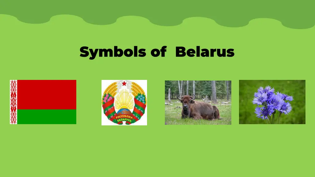 symbols of belarus