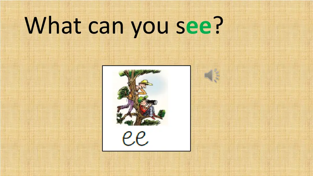 what can you s ee