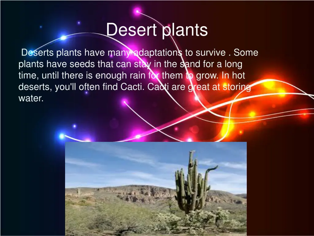 desert plants