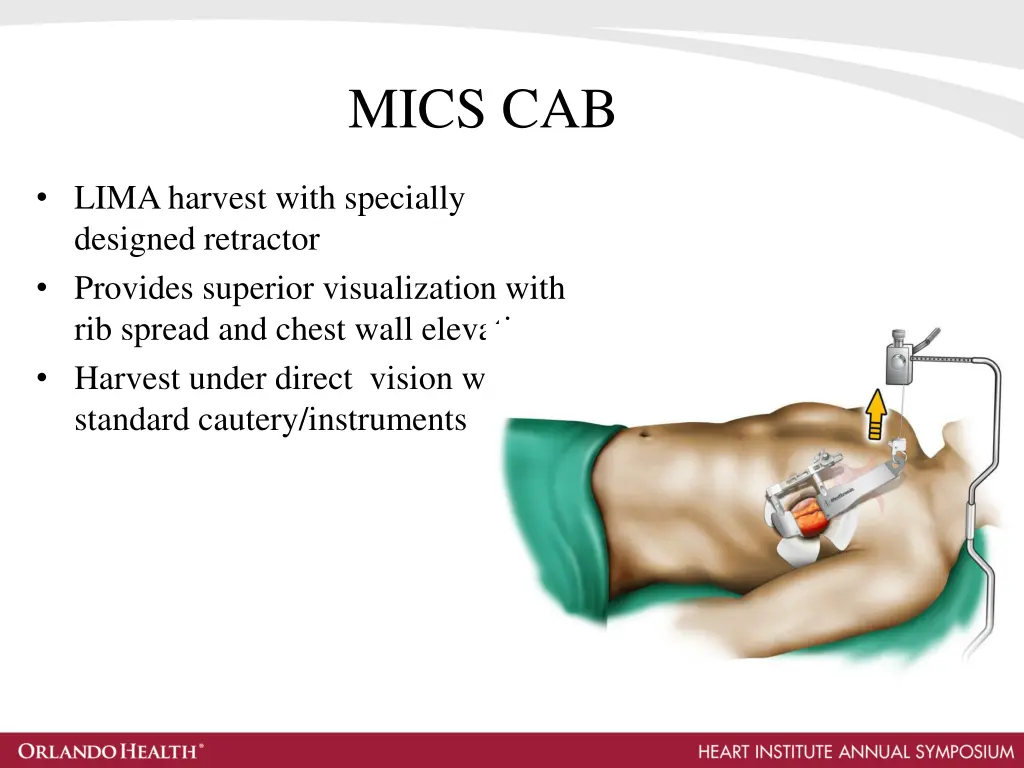 mics cab 1