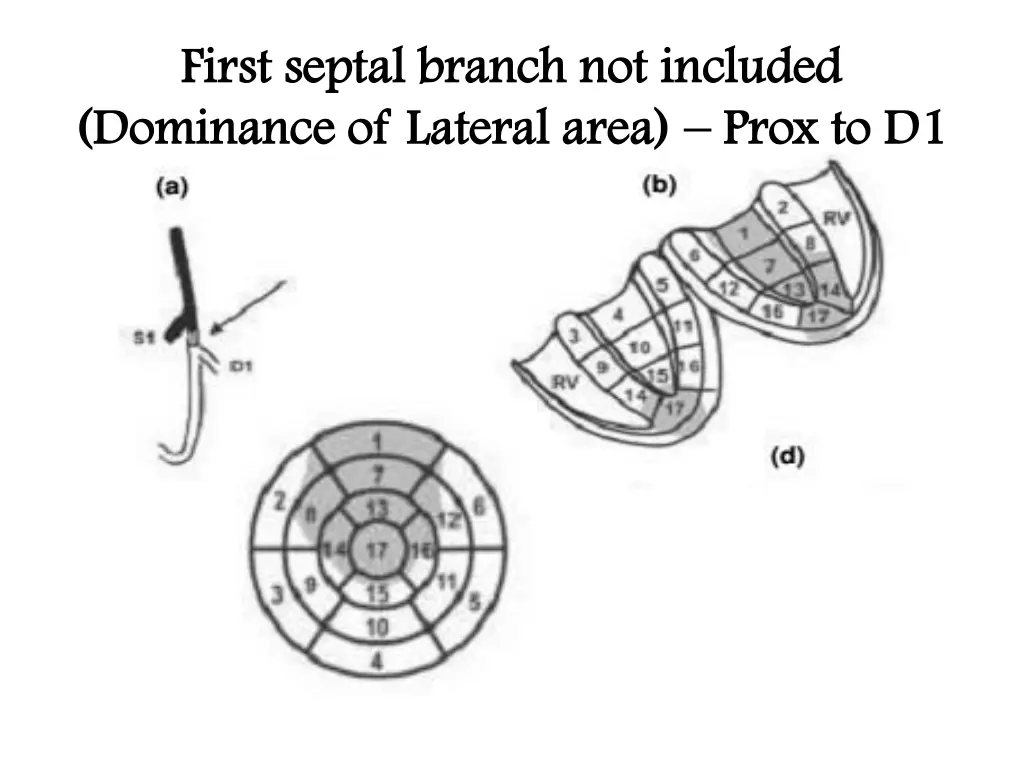 first septal branch not included first septal 2