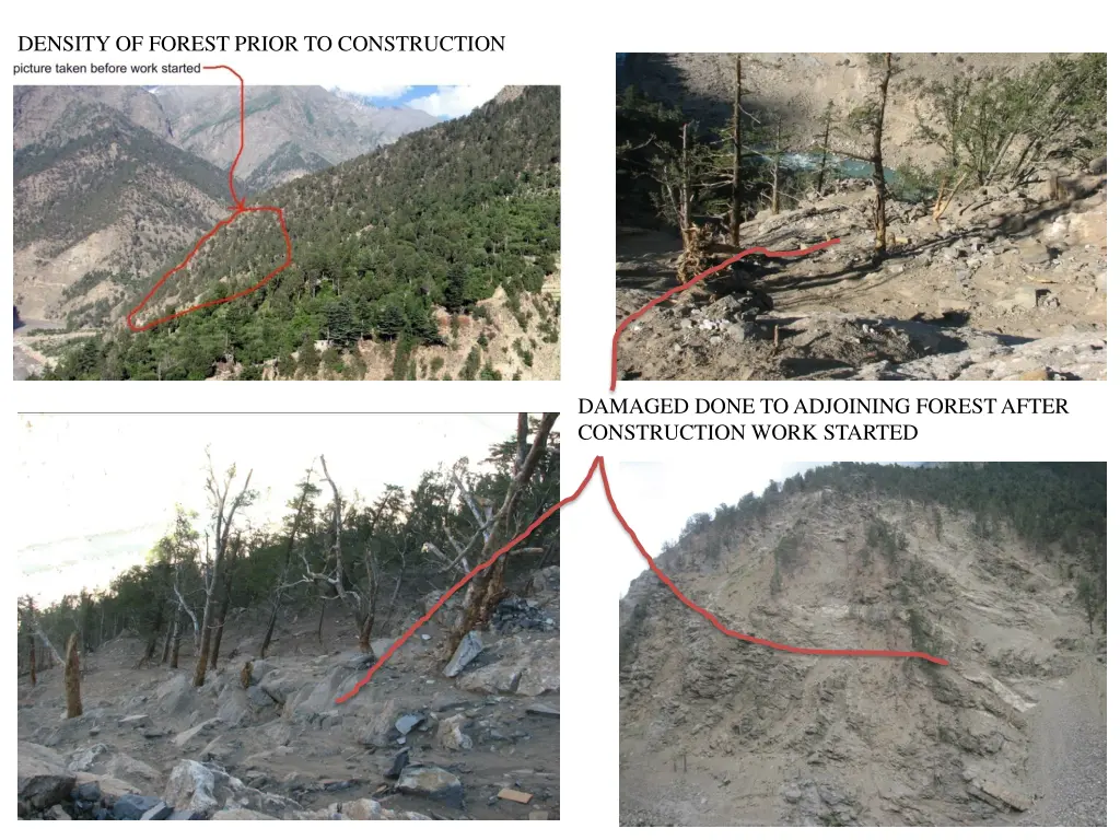 density of forest prior to construction