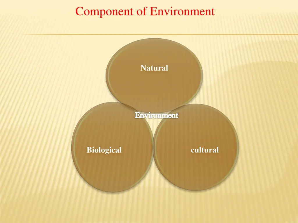 component of environment