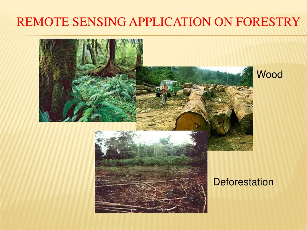 remote sensing application on forestry