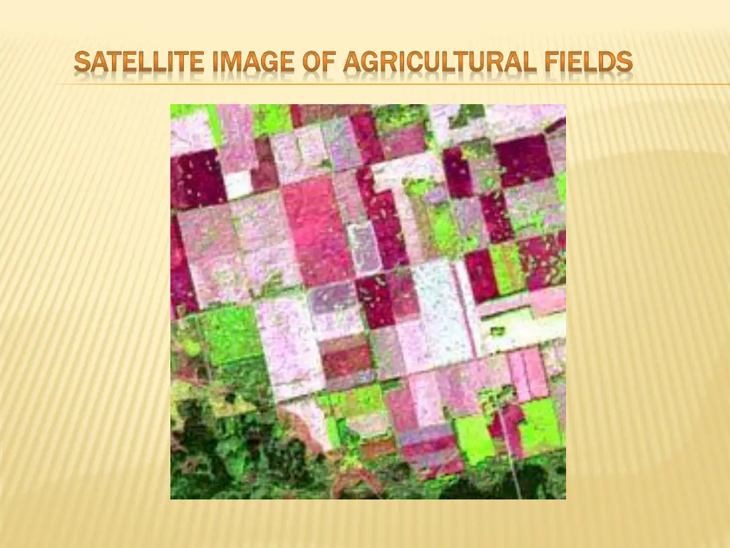 satellite image of agricultural fields