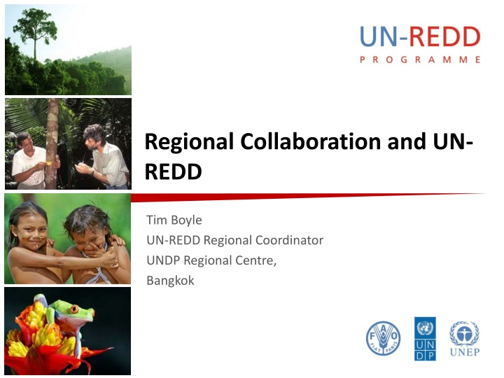 regional collaboration and un redd