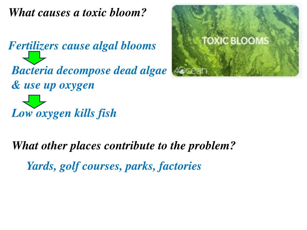 what causes a toxic bloom