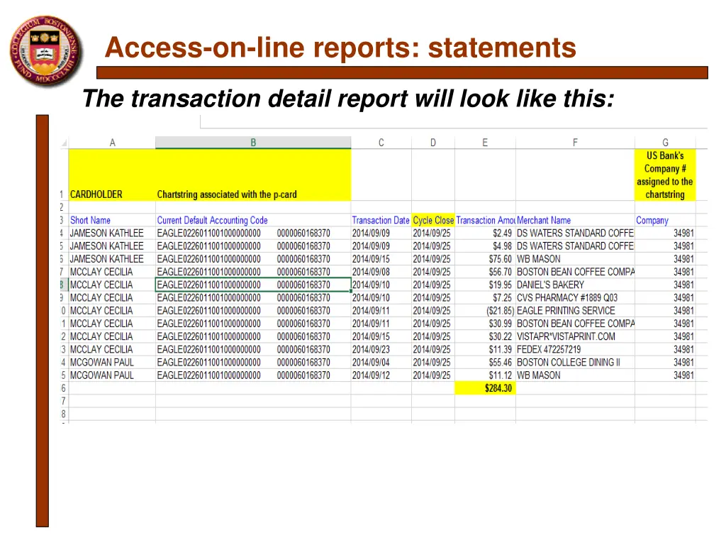 access on line reports statements 1