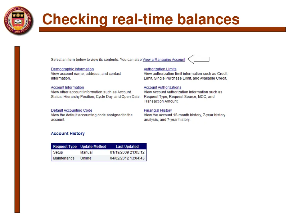 checking real time balances 1