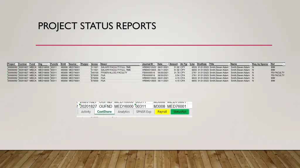 project status reports