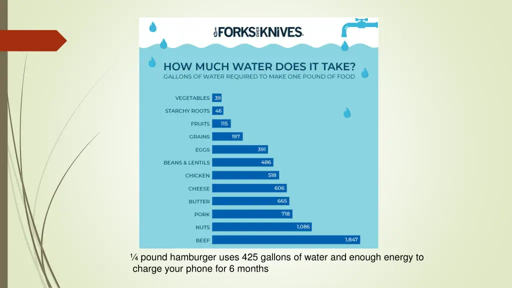 pound hamburger uses 425 gallons of water