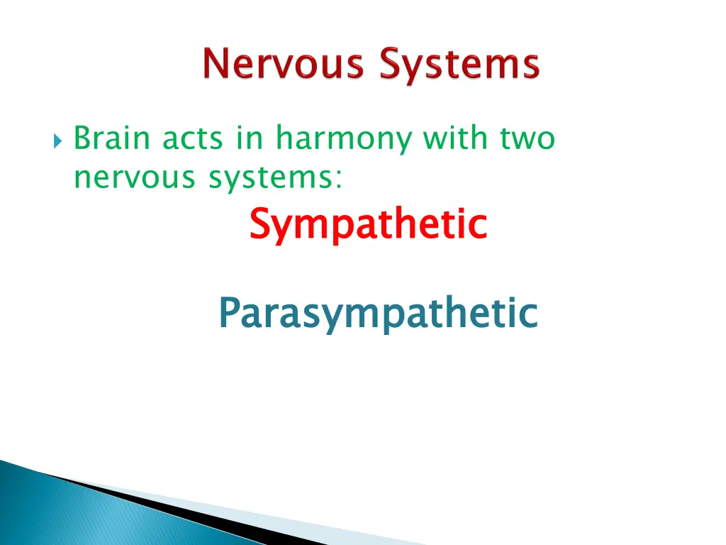 brain acts in harmony with two nervous systems