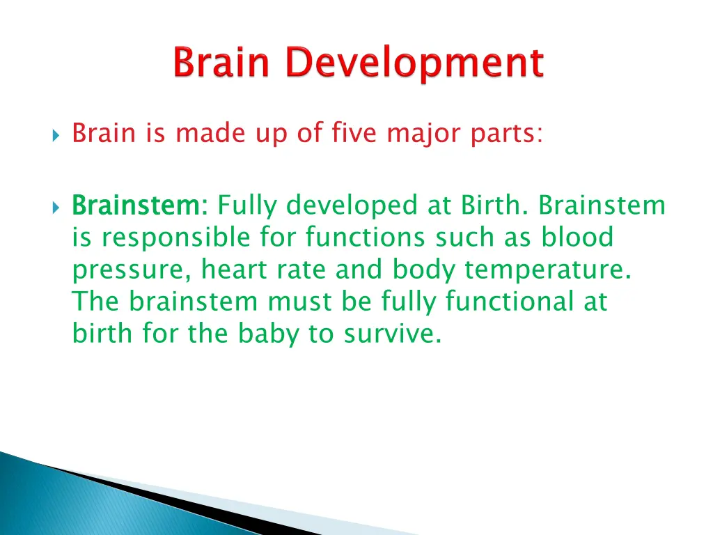 brain is made up of five major parts