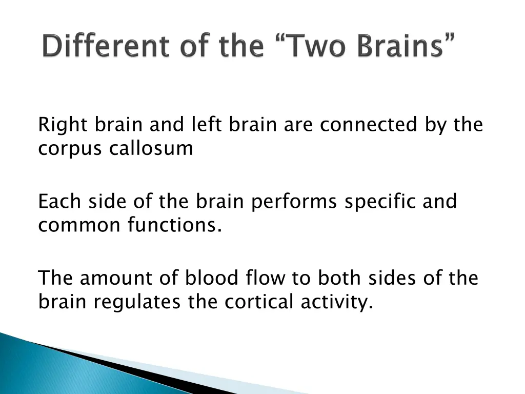 right brain and left brain are connected