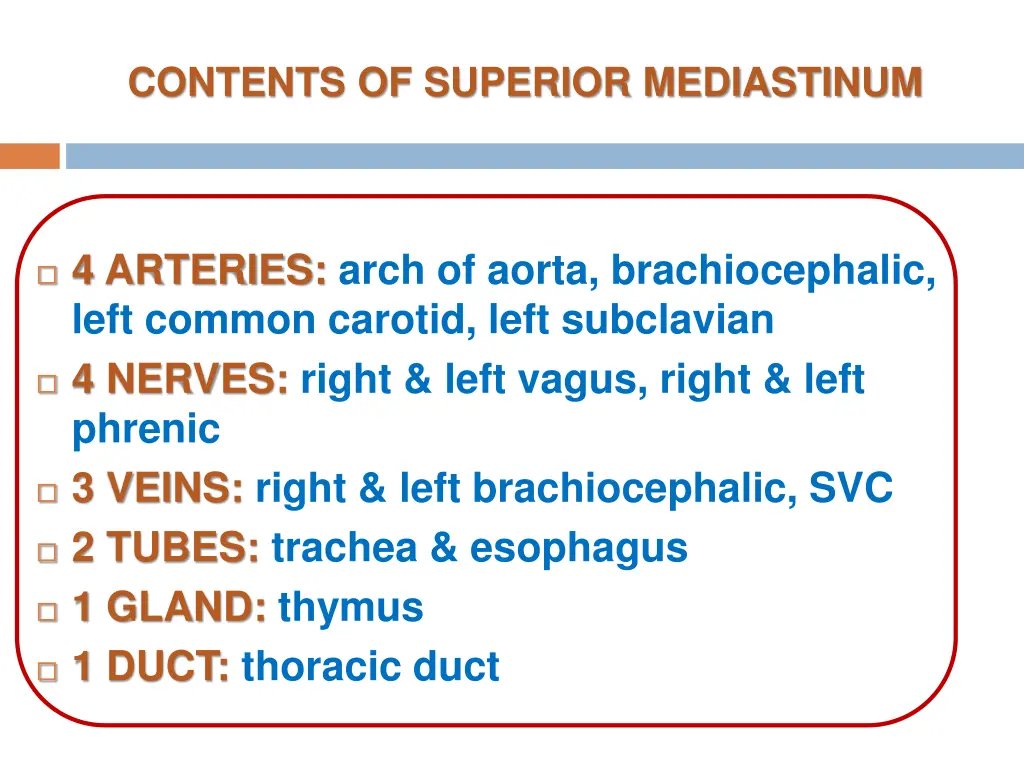 contents of superior mediastinum 2