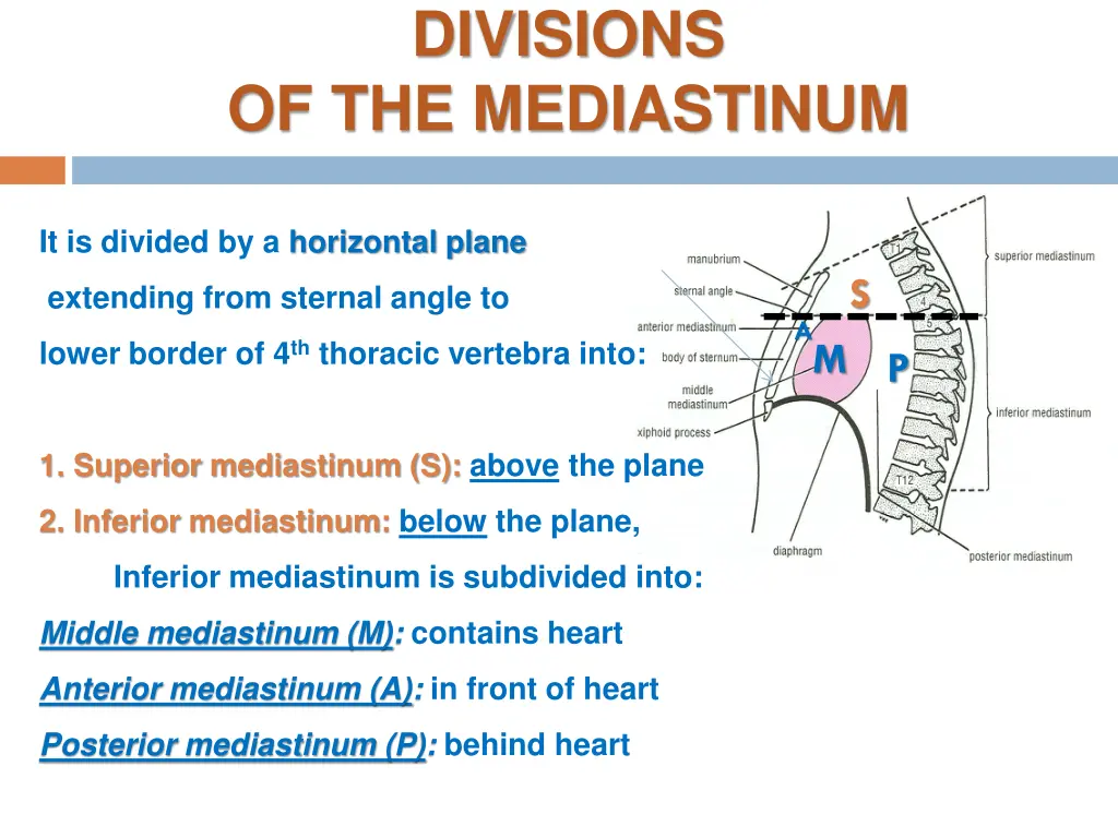 divisions