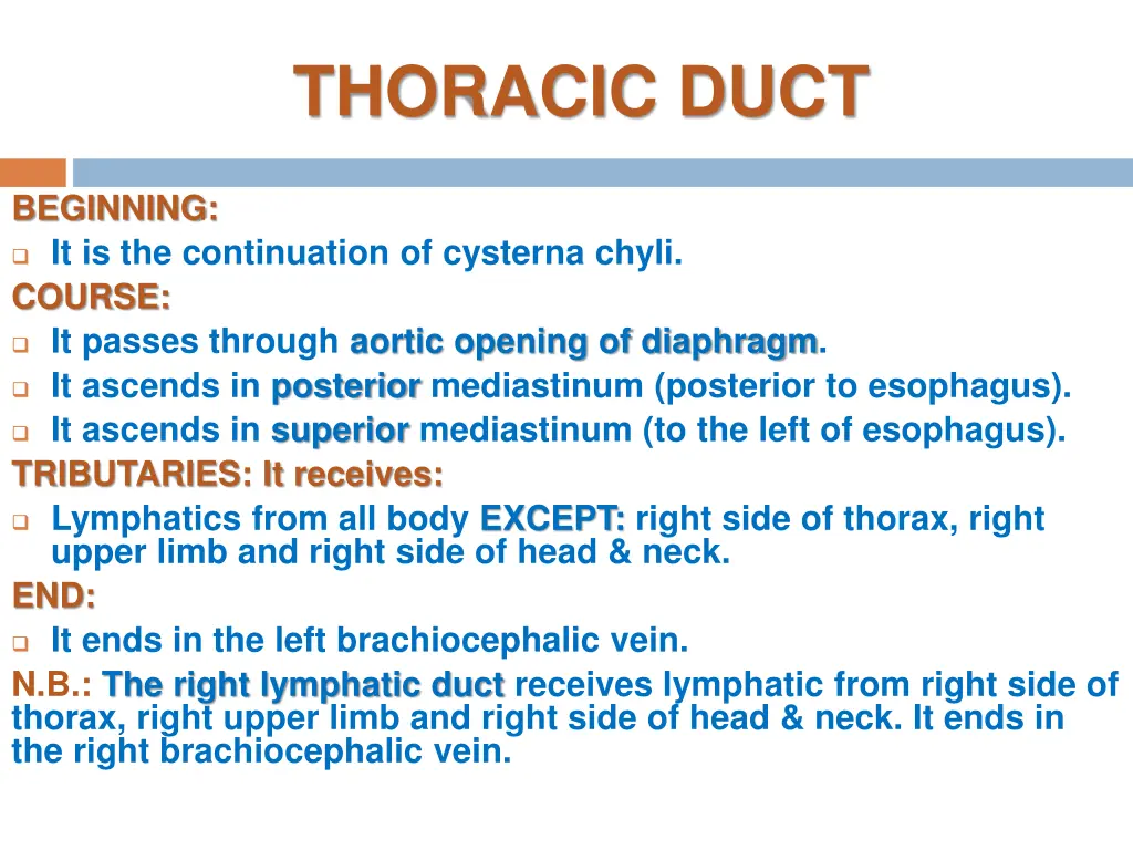 thoracic duct