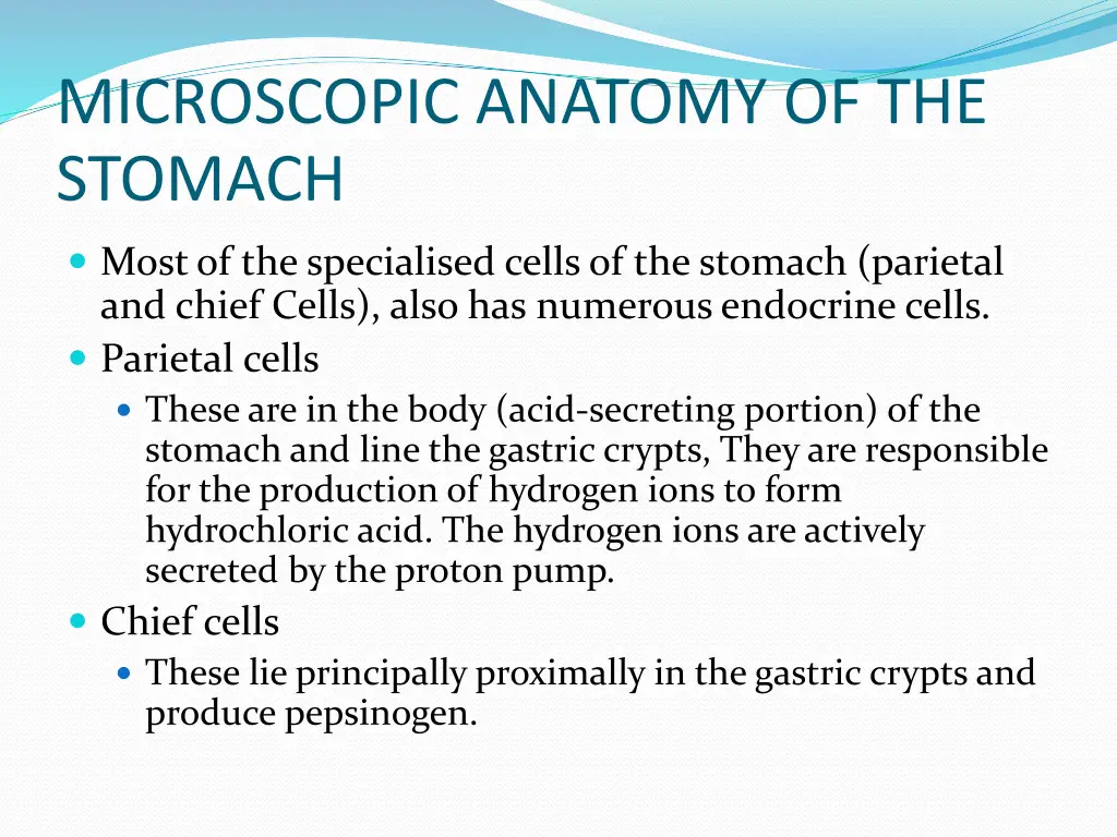 microscopic anatomy of the stomach