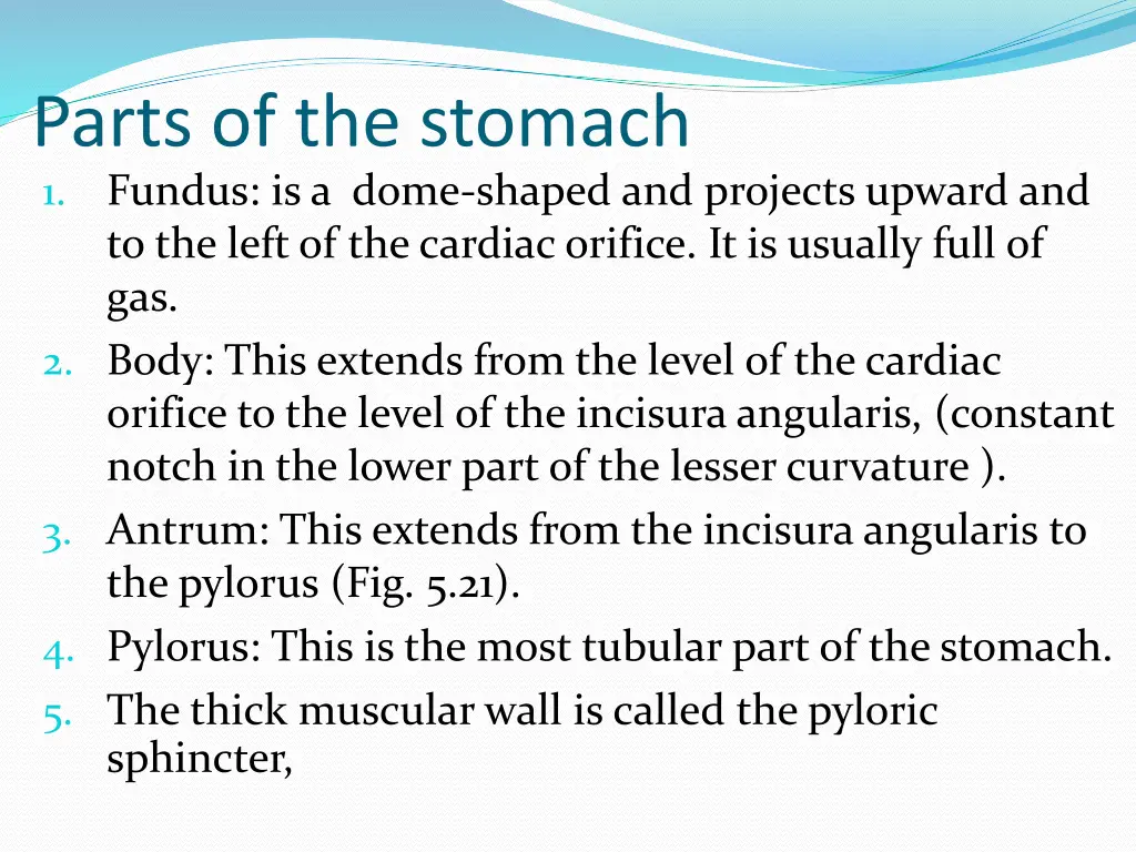 parts of the stomach 1 fundus is a dome shaped