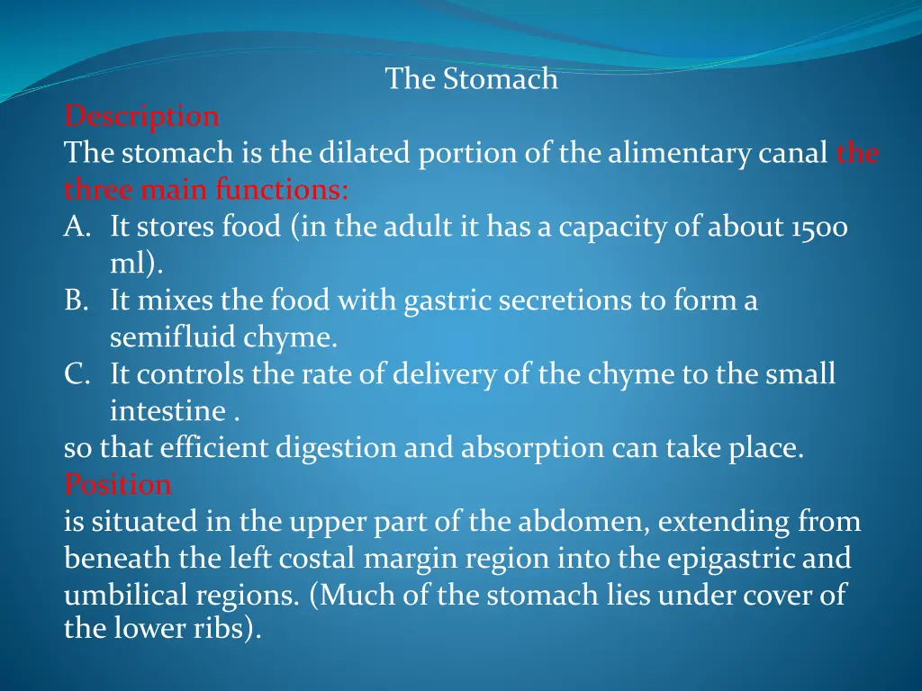 the stomach 1