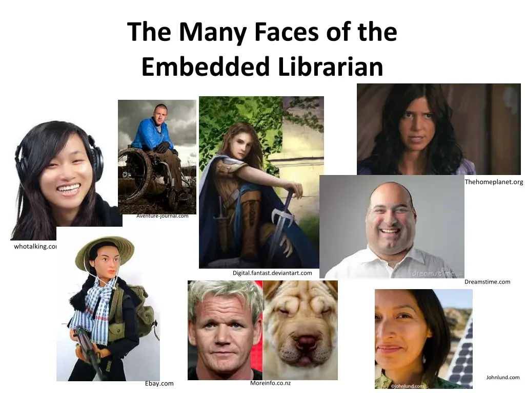 the many faces of the embedded librarian