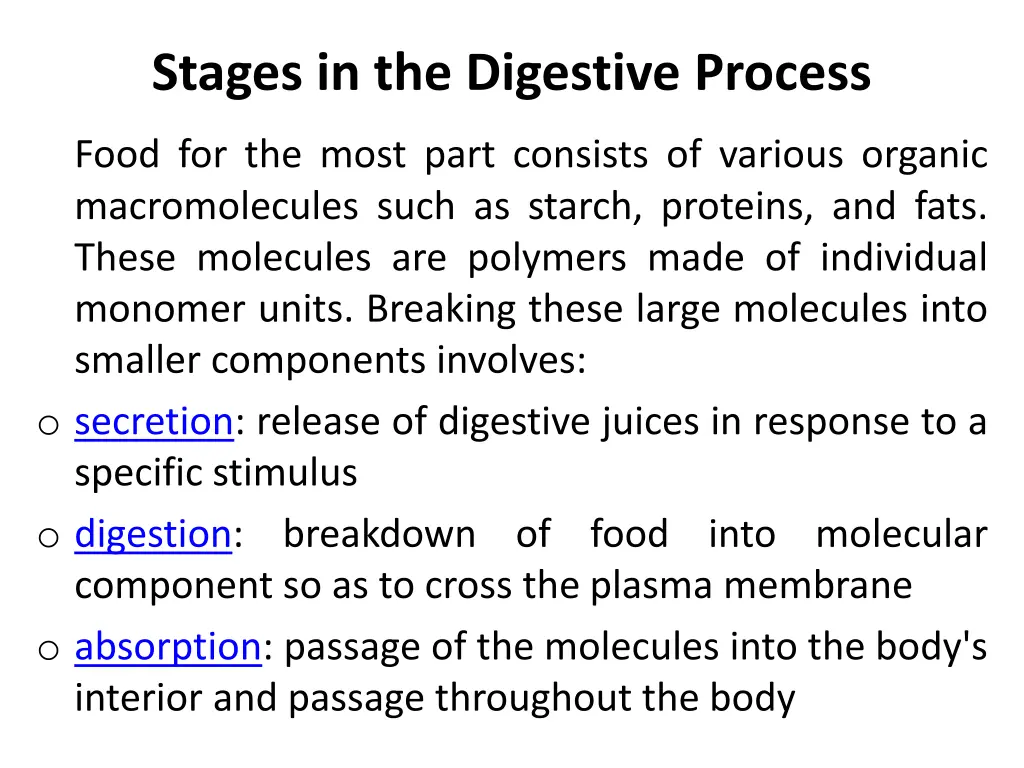 stages in the digestive process