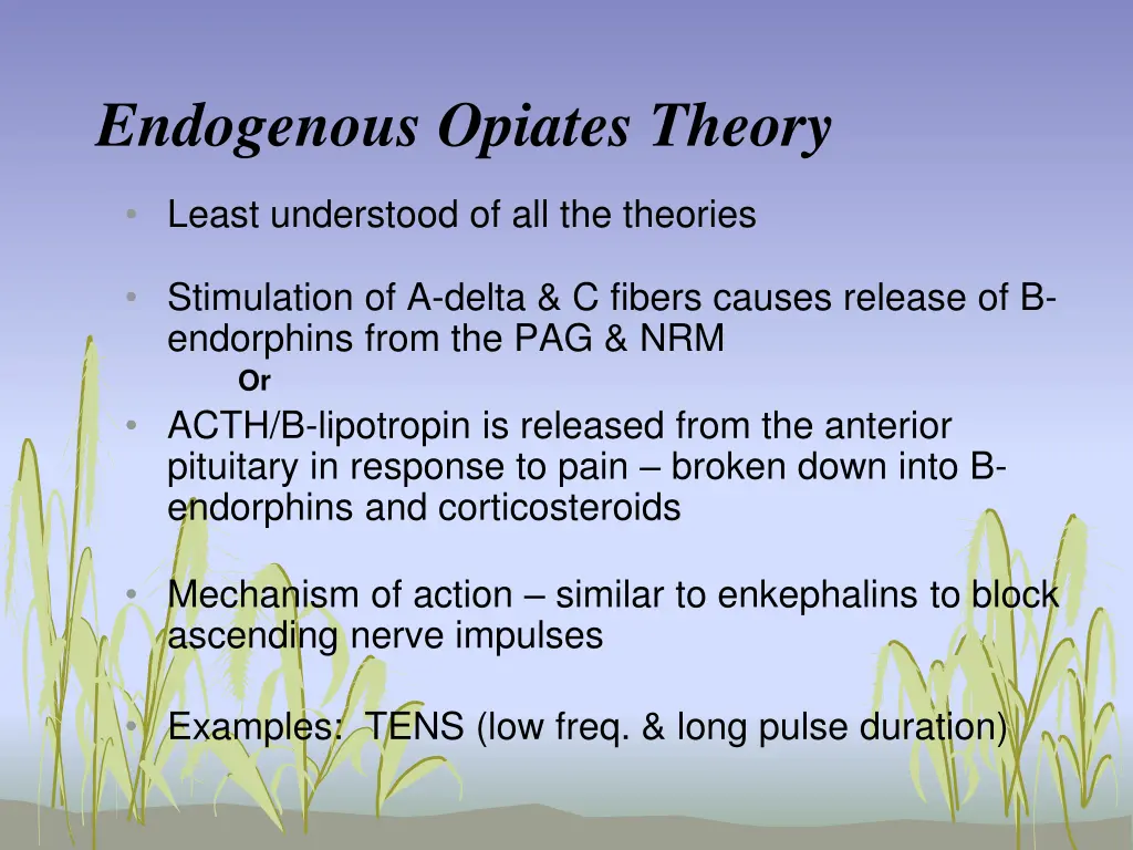 endogenous opiates theory