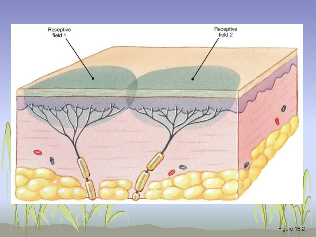 figure 15 2